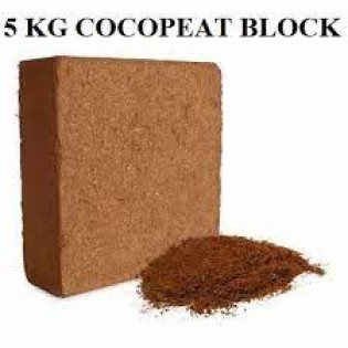 cocopeat 