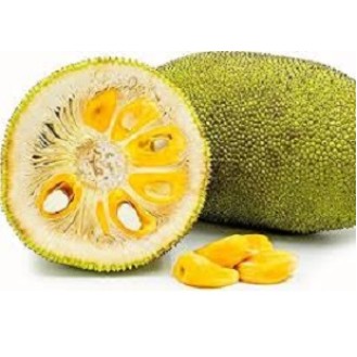 Jack Fruit