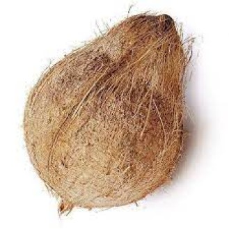 Semi husked Coconut