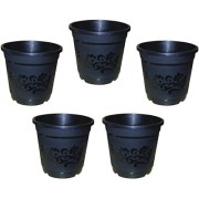 Plastic Pots